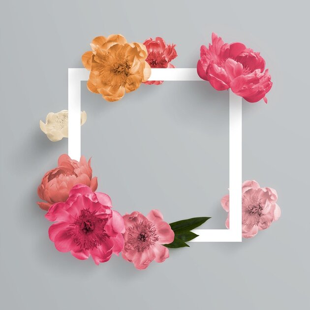 Comment programmer une publication sur Instagram ?